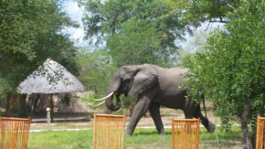 Africa Safari Selous Camping